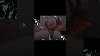 3052 fatality stay