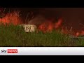 Wildfires rip through portugal