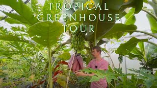 Tropical 🌴greenhouse tour in Germany | Samuel Ford