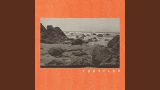 The Beach Betrayed Me - Trestles