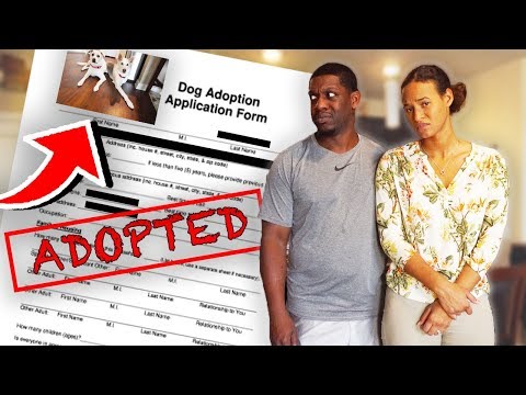 giving-our-dogs-up-for-adoption-prank-on-husband!!
