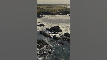 أرأيت الذي يكذب بالدين - سورة الماعون- القارئ اسلام صبحي