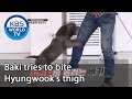 Baki tries to bite Hyungwook's thigh [Dogs are incredible/ENG/2020.09.09]