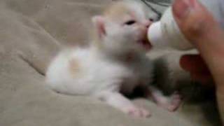 Jer's Feeding Time!
