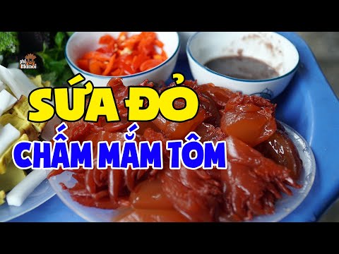 Video: Sứa Phố Cổ