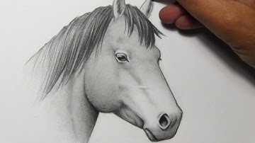 Drawing Time Lapse: Horse