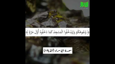 آياتٌ مختارةٌ مِنَ الذكرِ الحكيم سورةُ الإسراء (الآية ٧)#أهل_القرآن_الأبرار