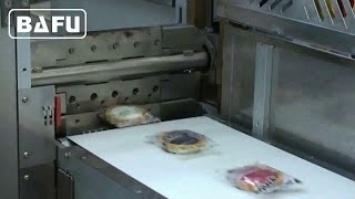 FWM500 Horizontal Flow Wrapper