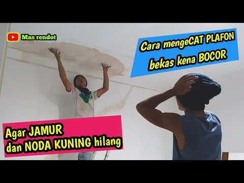 Video: Bagaimana cara menghilangkan noda dari langit-langit kayu?