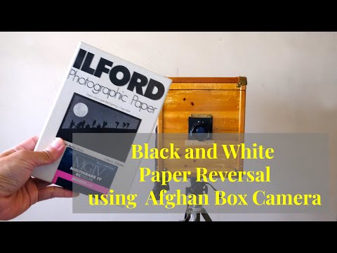 black-and-white-paper-reversal-with-afghan-box-camera