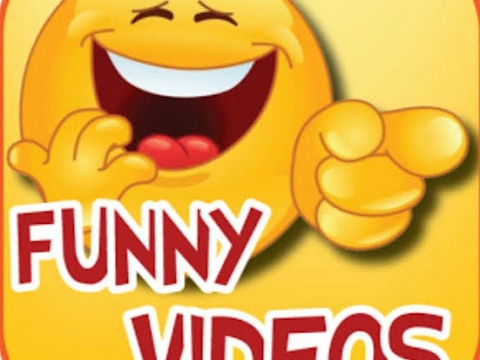 funny videos Live Stream