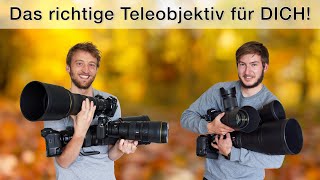 Nikon Z Teleobjektive im Überblick - Erfahrungen und Kaufberatung für die Tierfotografie