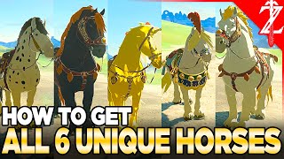 How to Get All 6 Unique Horses in Tears of the Kingdom