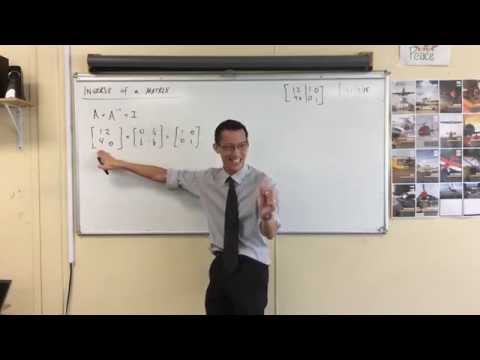 Determining the Inverse of a Matrix Algebraically