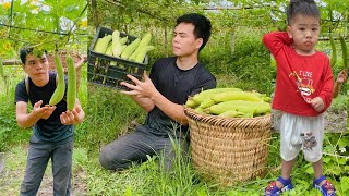 Harvest luffa  bring it to the market with your son to sell, feed chickens and ducks | Single papa