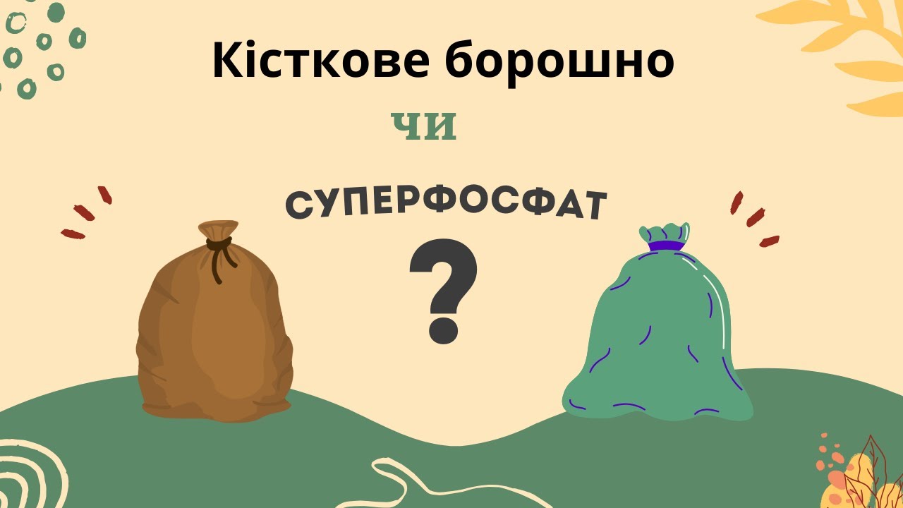 Кісткове борошно чи суперфосфат: що обрати