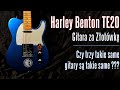 Czy 3 takie same gitary są takie same??? -  Harley Benton TE20 - gitara za złotówkę - FOG