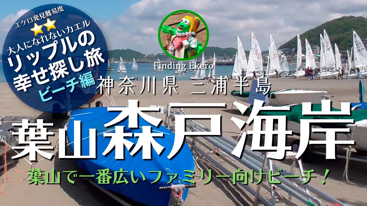 神奈川県おすすめ海水浴場 神奈川県 三浦半島 森戸海岸 葉山の人気ビーチ 遠浅 穏やかな波でファミリーの海水浴にもおすすめ 磯遊びからマリンスポーツまで楽しめます Youtube