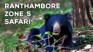 Ranthambore National Park - Zone 5 Safari - 4K Video Hindi | हिन्दी