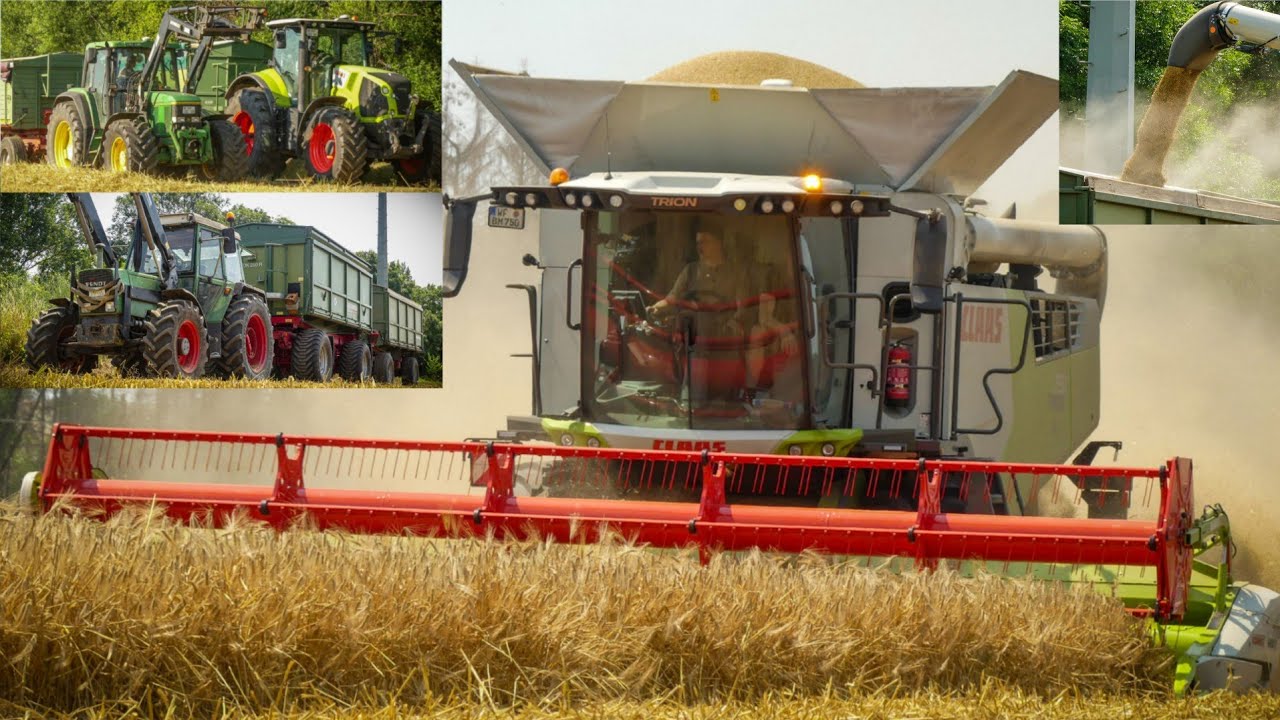 Getreideernte 2023/ Claas Trion 750/ John Deere 6900/ Fendt, Claas [Sound]
