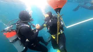 Discover Scuba Diving