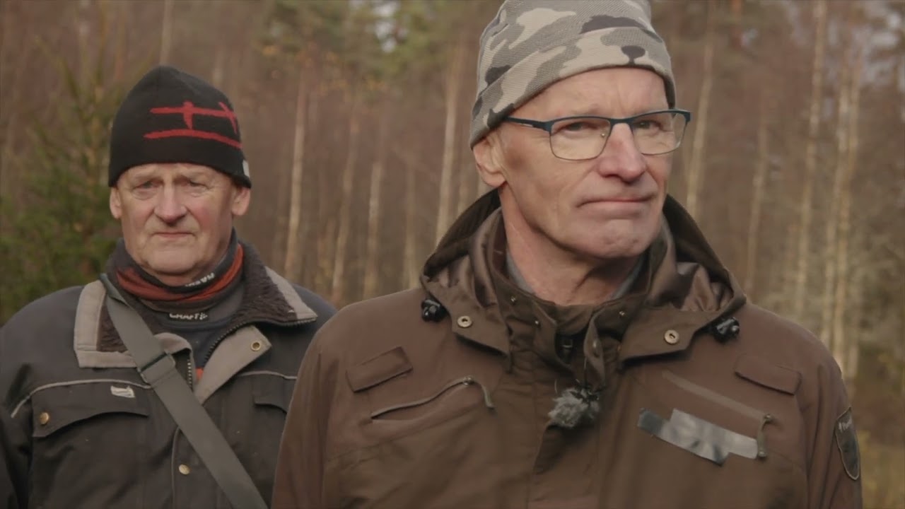 Flimmer del 3 - skogens tillväxt sjunker. Finns det några lösningar?