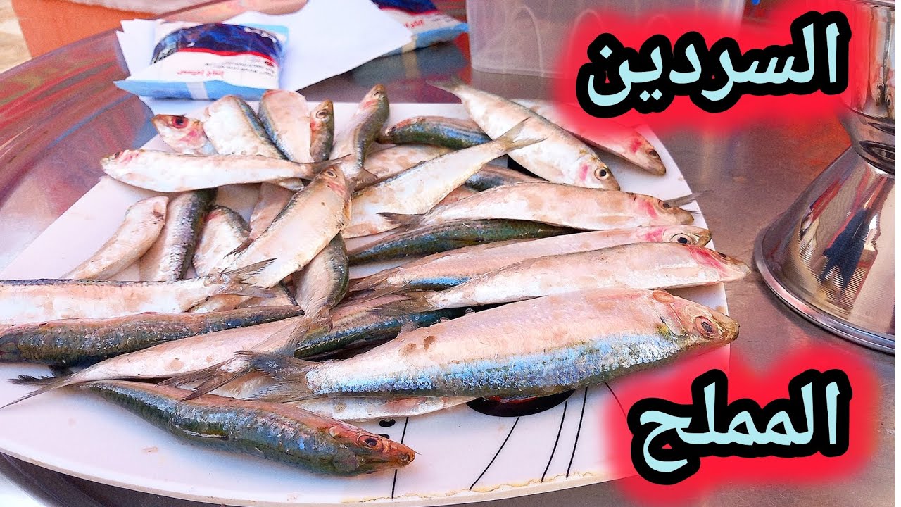طريقه عمل السردين المملح في المنزل بطريقه سهله وبسيطه في 5 دقائق 