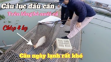 |Câu cá sông| - Câu lục đầu cần cạnh lồng bè sông Thái Bình những ngày trời lạnh giá.