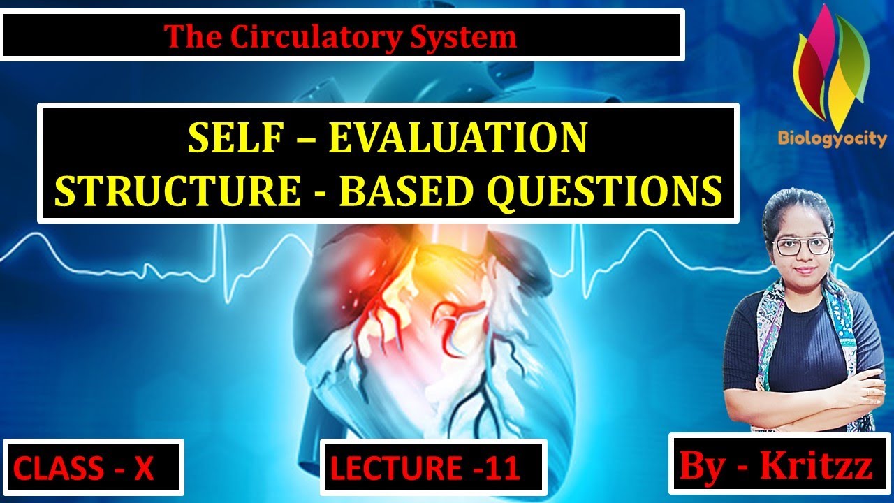 THE CIRCULATORY SYSTEM PART - 11 (SELF EVALUATION) - YouTube