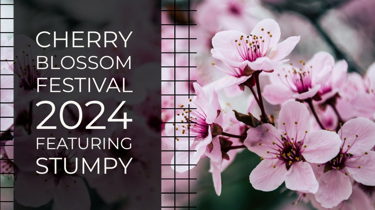Cherry Blossom Festival 2024 - Washington DC. Featuring Stumpy the
