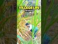 One day at VILLAGE 😜 | #minivlog #vlog #farming #shorts