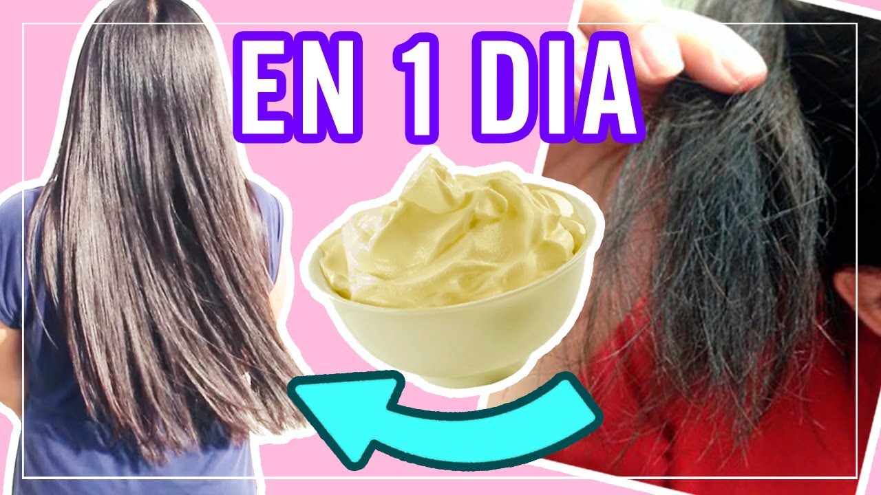 TRATAMIENTO CASERO EL CABELLO MALTRATADO RESTAURA Y ALISARLO CAPILAR l Kariniwiii -