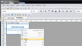 How to Print Barcode Labels with Excel Data - TFORMer Designer