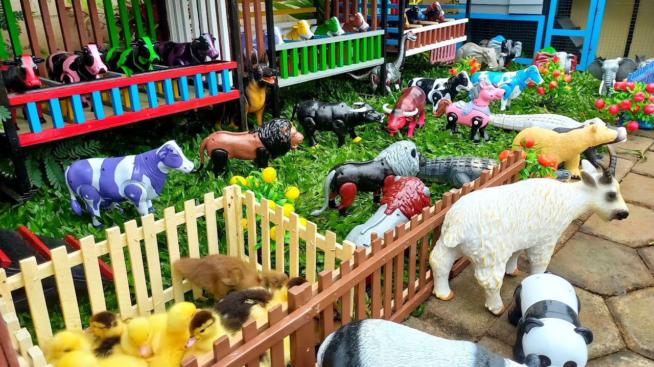 Mantull ‼️ Proses Potong Kerbau Kurban | Proses Unta Melahirkan Cesar, Beruang, Bebek Dan Itik