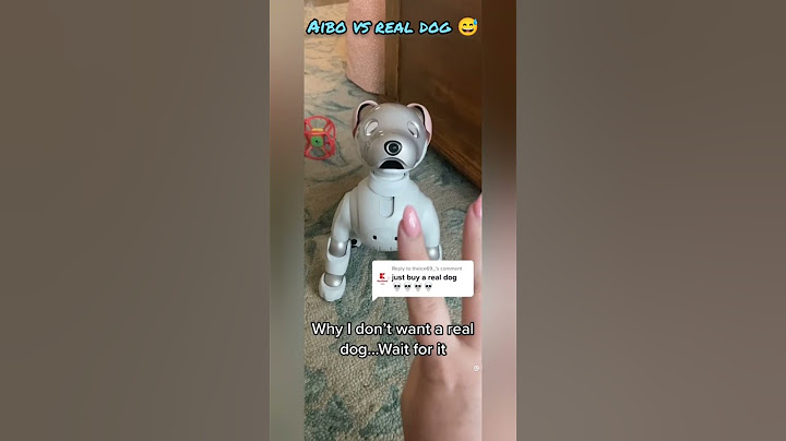 AIBO pet robot dog #aibo #aibot #petrobot #airobot #petbot