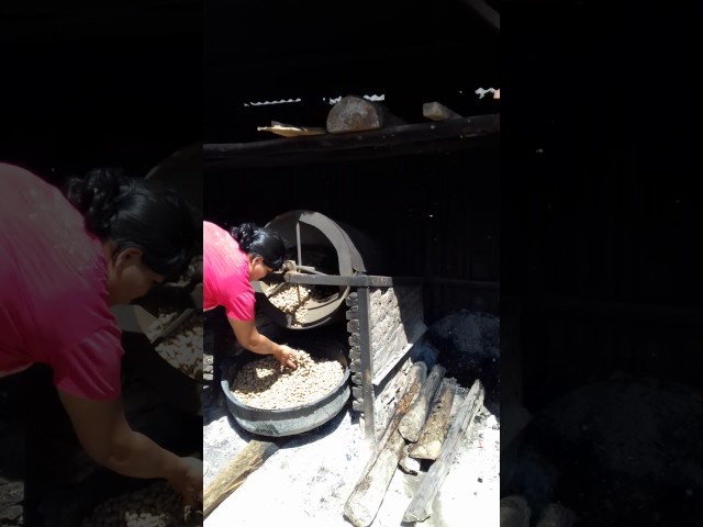 Kacang Sihobuk Oleh-oleh Khas dari Tarutung class=