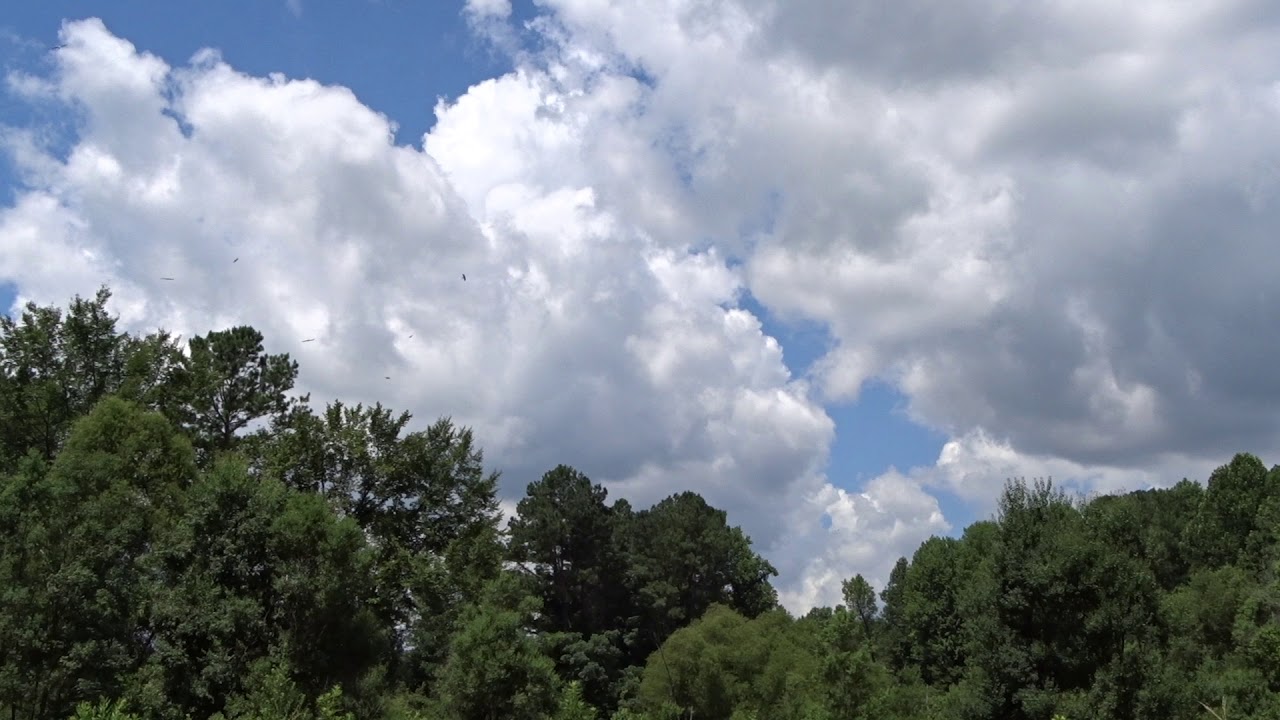 Kites in the Sky Little Salkehatchie River YouTube