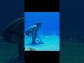 Extreme Underwater Escape! 😱#shorts #movieclips