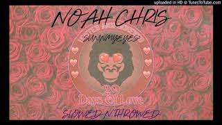 Day 24: Noah Chris - Suninmyeyes [Slowed N Throwed]