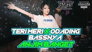 BASSNYA ANJIM BANGET !! TERI MERI X ODADING (Jungle dutch terbaru 2020) Feat DJ Haris Je