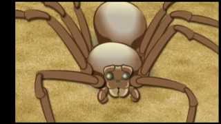 The Spider Who Couldn't Hide - Spider Kisses by Chad-Michael Simon 358,869 views 11 years ago 1 minute, 8 seconds