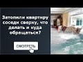 Затопили квартиру соседи сверху, что делать и куда обращаться?