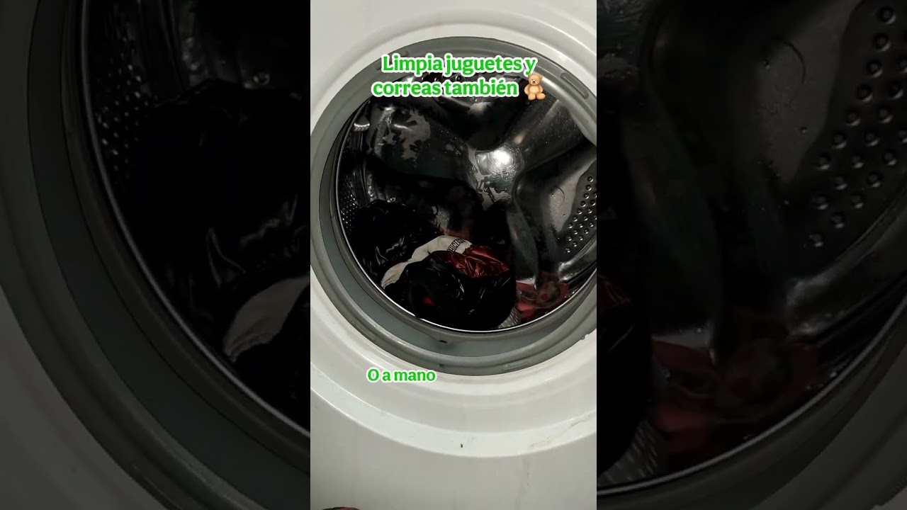 ✨ HIGIENE DE CAMAS Y ACCESORIOS 🐶