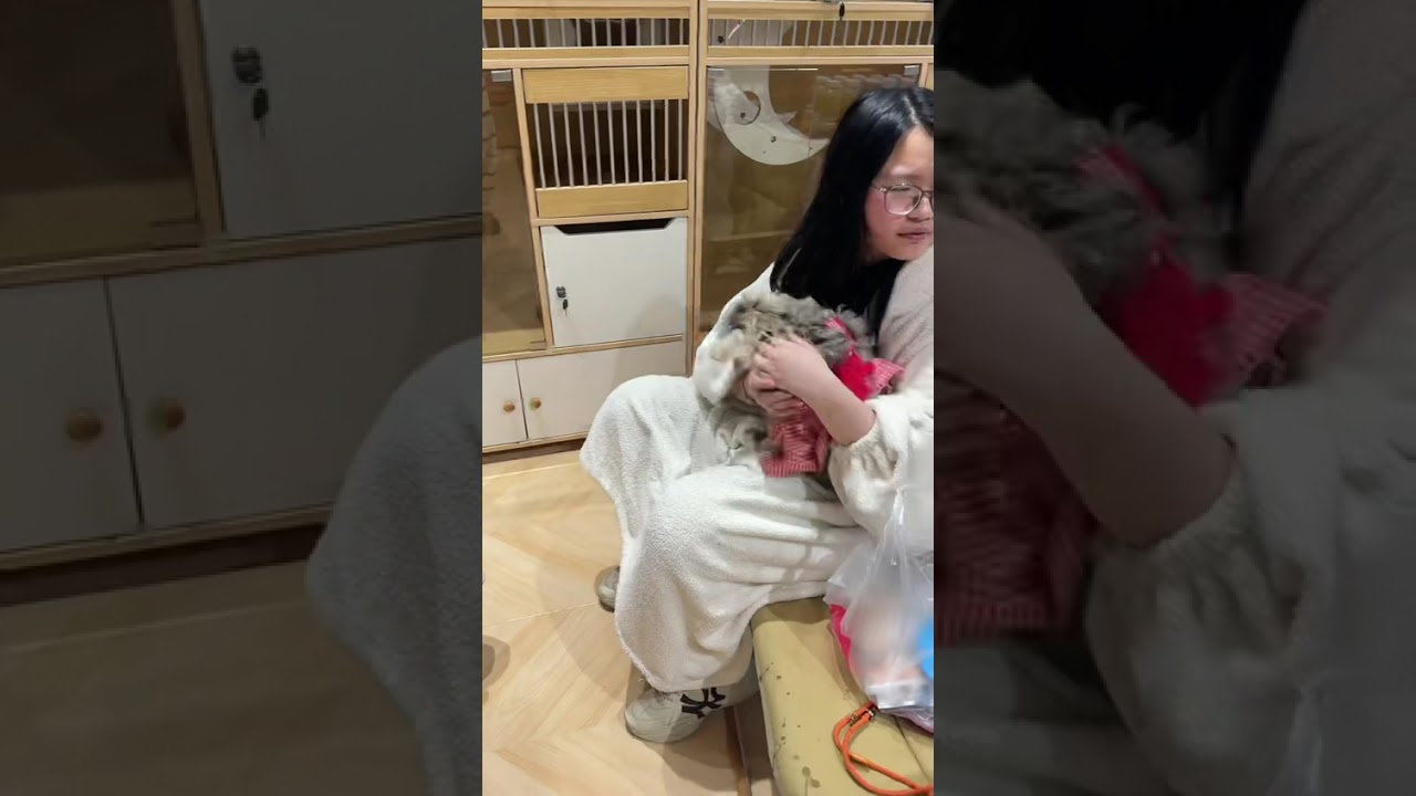 #funny #funnyvideos #fyp #pov #foryoupage #fypシ #foryou#ytb