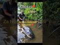 chraňte velké ryby #rybaření #fishing