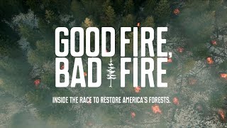 Good Fire, Bad Fire: Inside the race to restore