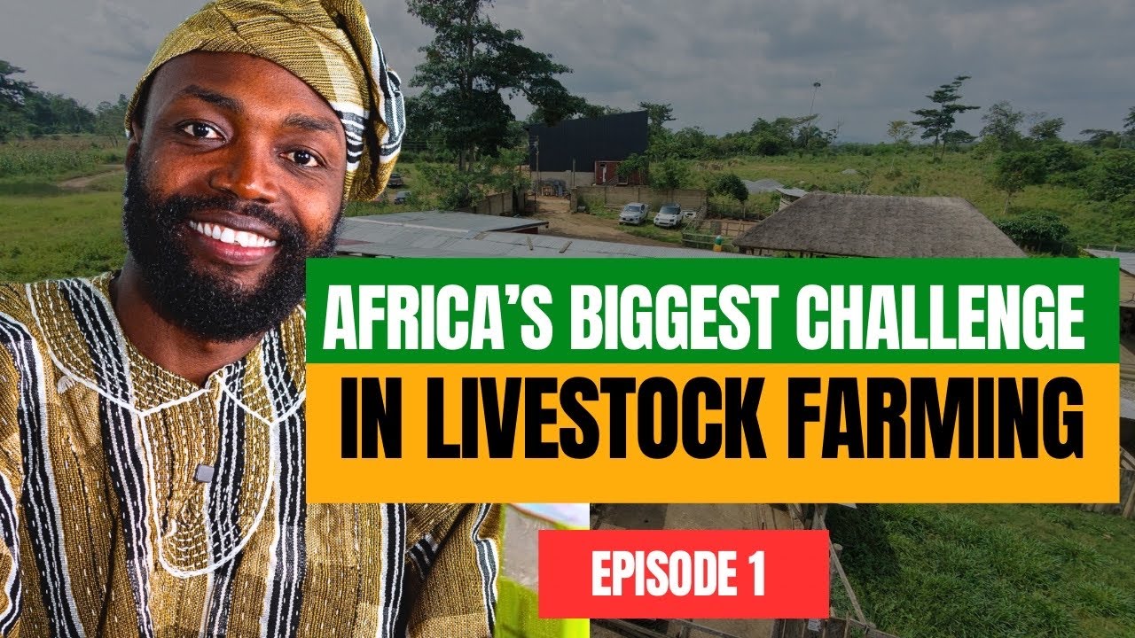 THE BEGINNING OF THE GREATEST INNOVATION FOR AFRICAN LIVESTOCK FARMERS