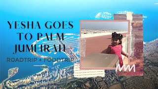 The Stunning Palm Jumeirah