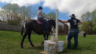 Alex Tyson Teaches the Working Equitation Gate Obstacle