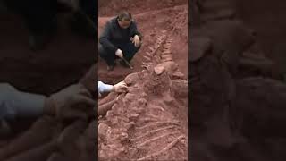 PRX Santiago Grand Finals mini-vlog